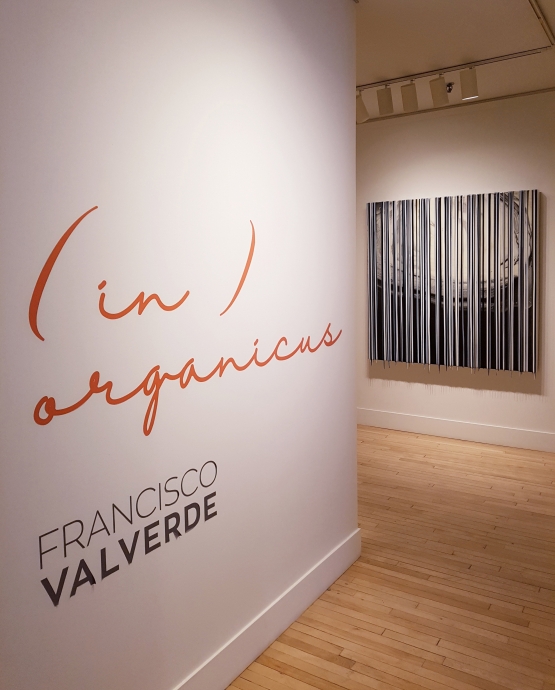 Francisco Valverde | Galerie LeRoyer