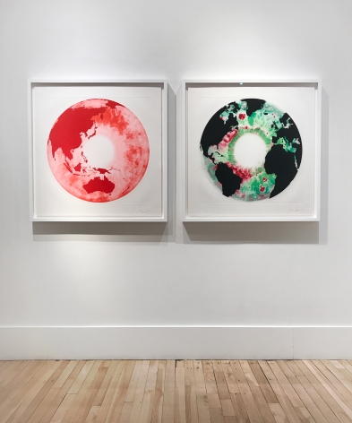 Marc Quinn | Galerie LeRoyer